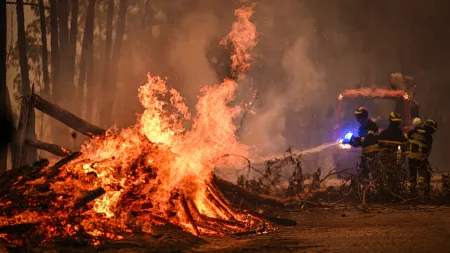 36 detidos por incêndios florestais até agora este ano