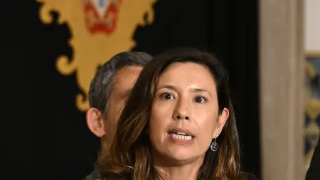 Mariana Leitão critica tardia declaração de alerta para incêndios