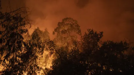 Estradas interditas em Sabrosa por causa de incêndio devastador