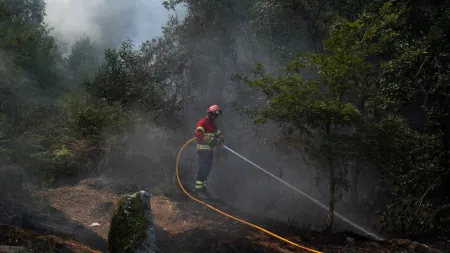 Incêndios em Portugal: 1.880 operacionais combatem 44 focos de chama