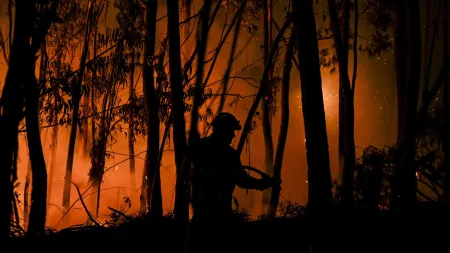 Evacuação cautelar de idosos do lar em São Martinho de Anta devido a incêndio em Sabrosa