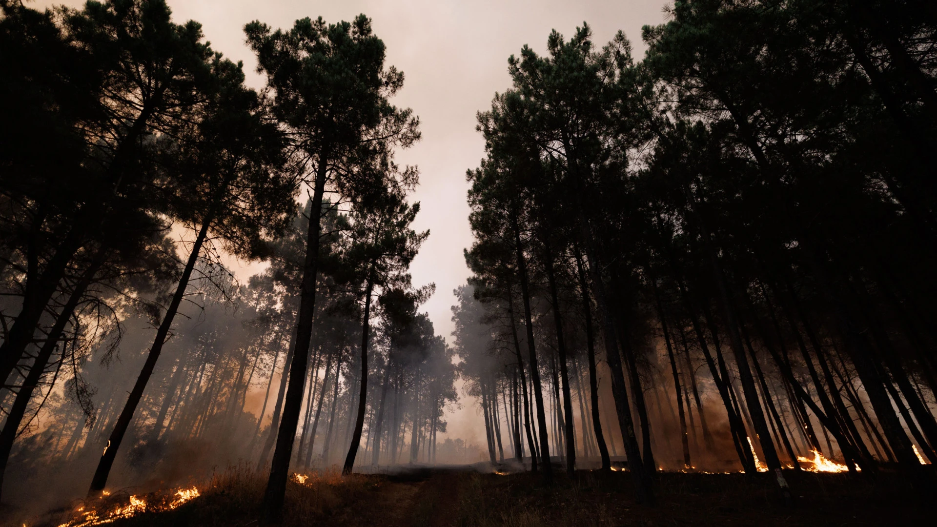 Incêndio em Sirarelhos gera apreensão em Vila Real