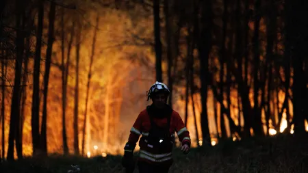 Incêndios em Torgueda e Sirarelhos em Vila Real ativam ampla resposta de combate