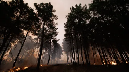 Incêndio em Sirarelhos gera apreensão em Vila Real
