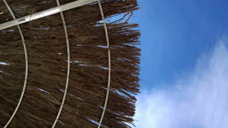O Calor Está à Porta: Dicas Essenciais da DGS para os Próximos Dias
