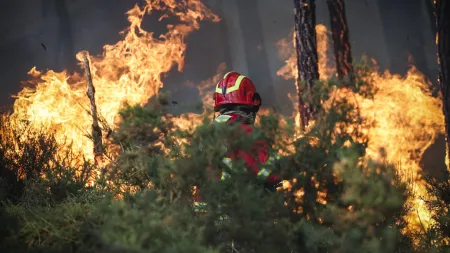 Incêndios em Vila Real: Autoridades chamam à atenção para "ataque ao território"
