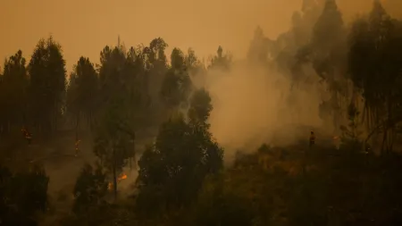 Incêndio em Vila Real: Reforço de meios e três frentes em ação