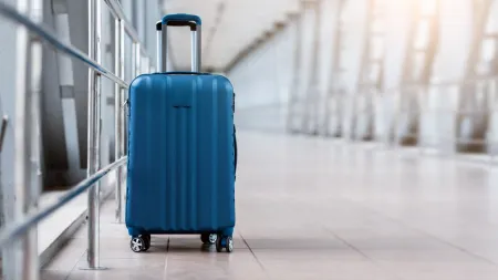 Mulher detida por transportar criança numa mala de viagem na Nova Zelândia