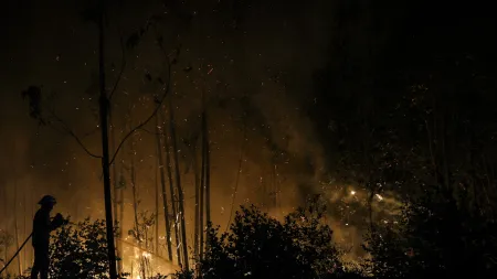 Predomínio masculino entre incendiários, mas aumento de mulheres detidas