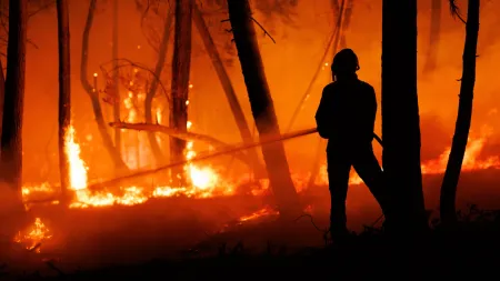Incêndio na Sertã mobiliza mais de 250 bombeiros em ambiente adverso