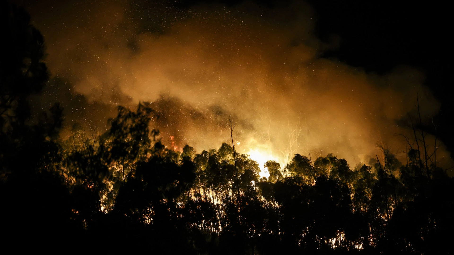 Alerta máximo de incêndio em quase 100 concelhos do Norte e Centro de Portugal