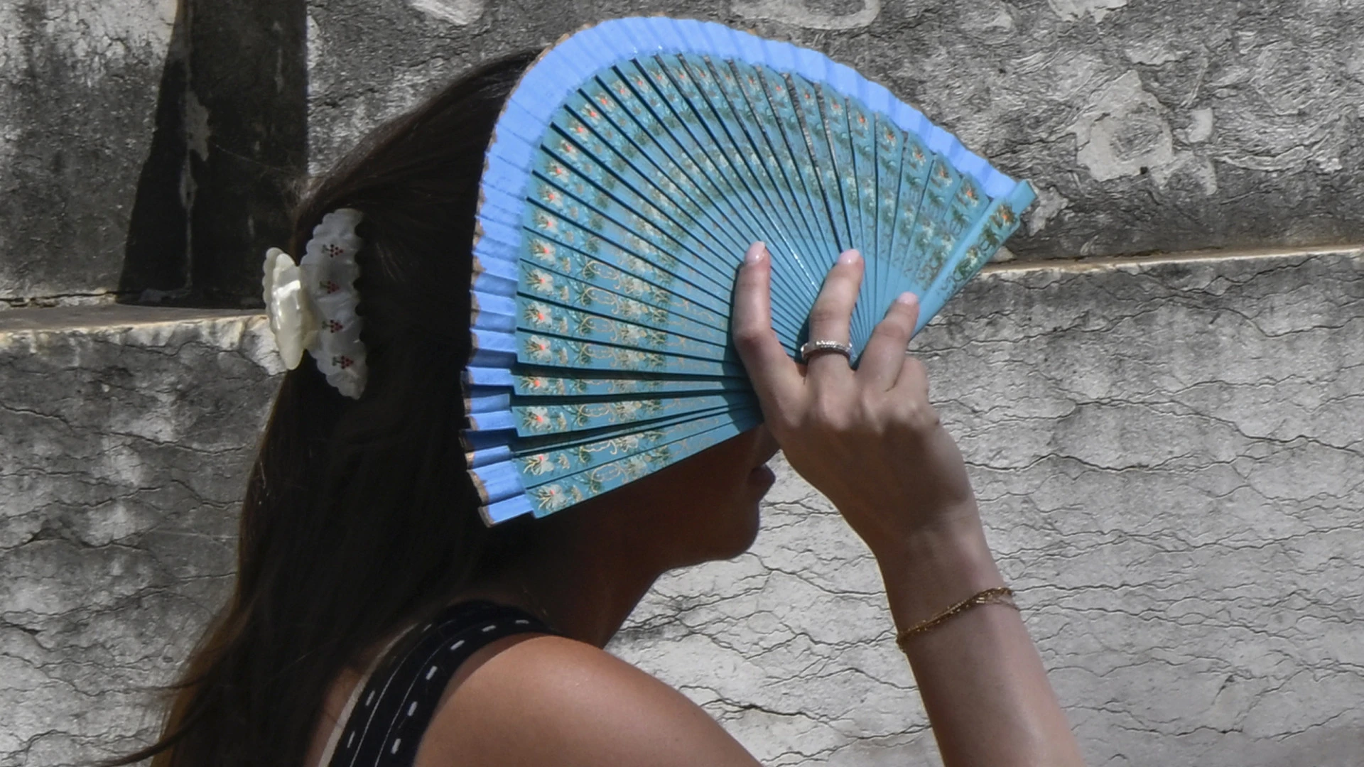 Bragança e Vila Real em alerta máximo devido ao calor intenso
