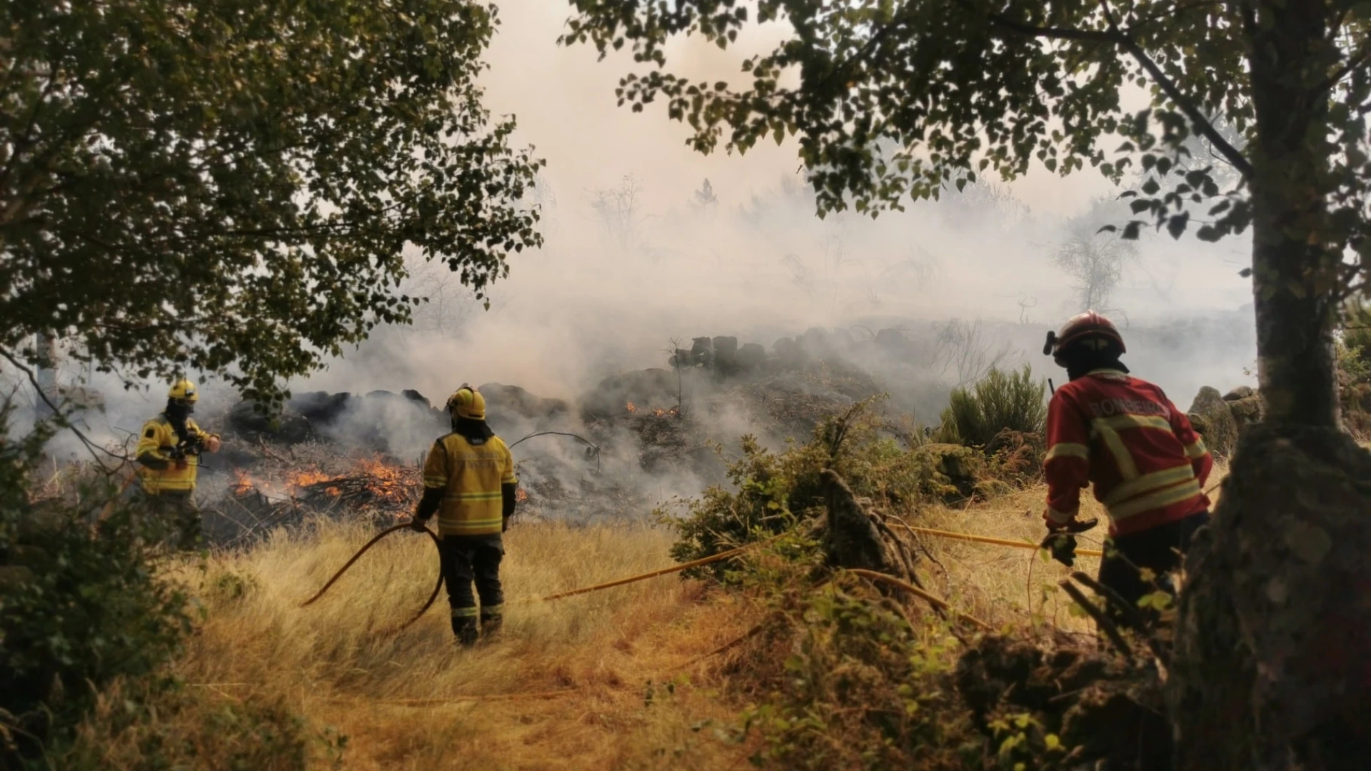 Comunidade mobiliza-se para combater incêndio próximo a Pinduradouro