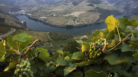 A Bienal Internacional de Gravura do Douro retorna ao Museu do Côa e estende-se até 2026