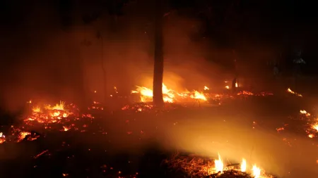 Governo considera endurecer penas para crimes de incêndio florestal