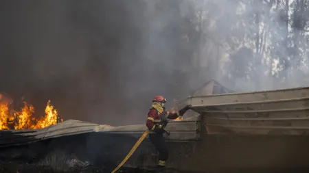 Detido homem por suspeita de provocar fogos florestais em Ourém
