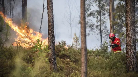 Situação de Alerta Prolongada: 55 Incêndios Rurais Registados