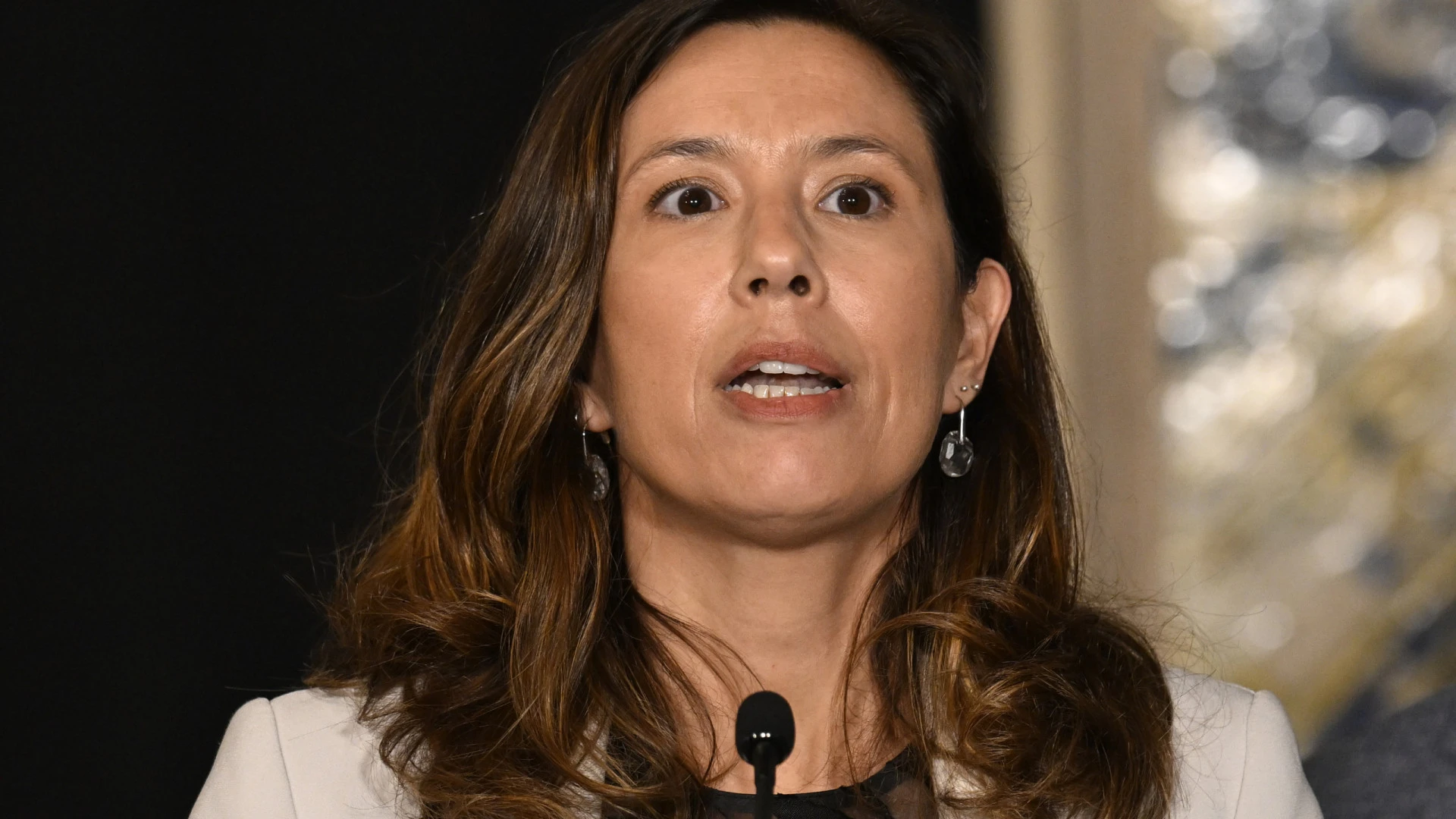 Iniciativa Liberal propõe diálogo com o Governo sobre a legislação dos estrangeiros