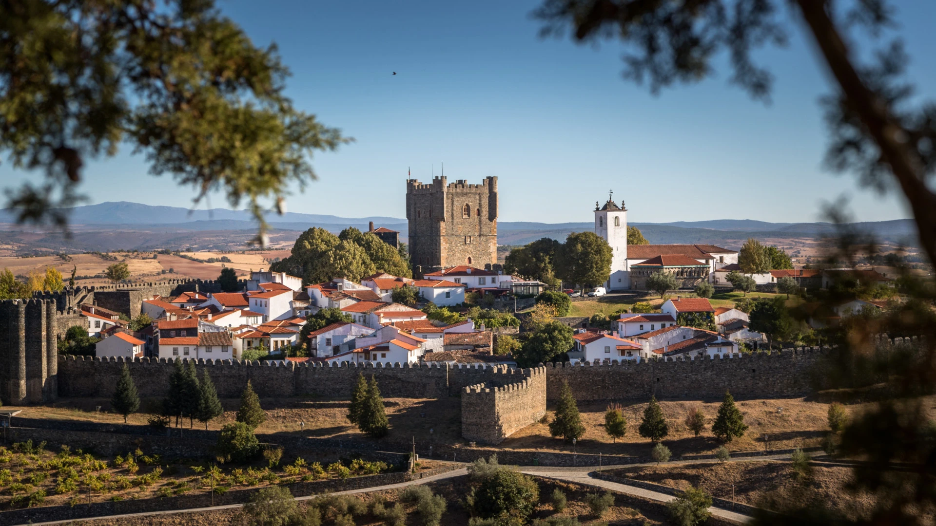 Bragança Celebra a História com Evento Medieval Atraente