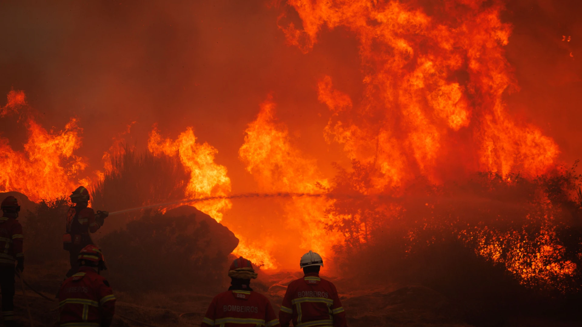 Novo surto de incêndio em Sirarelhos mobiliza mais de 100 operacionais