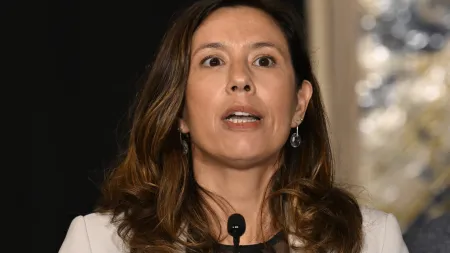 Iniciativa Liberal propõe diálogo com o Governo sobre a legislação dos estrangeiros