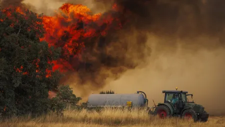 Incêndios rurais em Portugal continental atingem 55 ocorrências até ao final da tarde