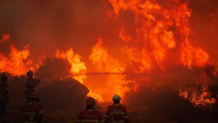Novo surto de incêndio em Sirarelhos mobiliza mais de 100 operacionais