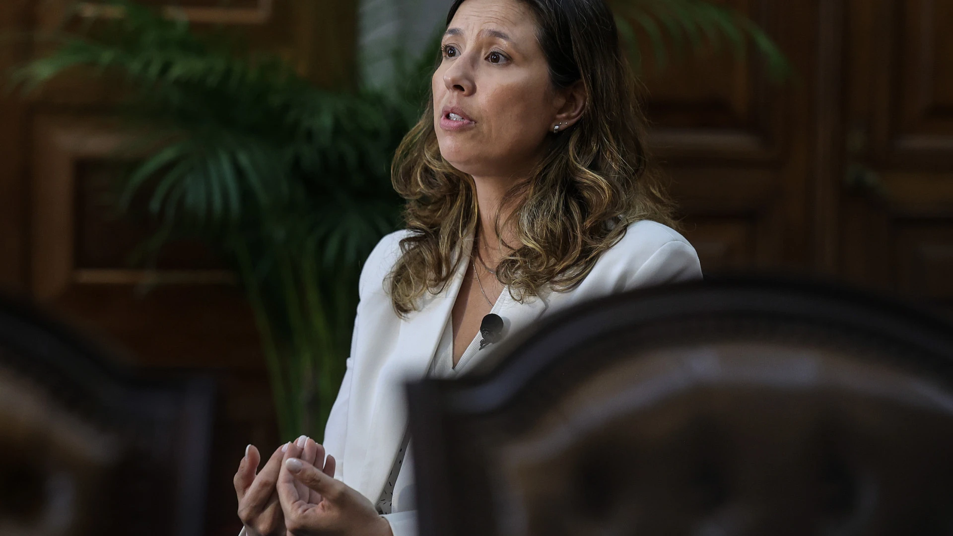 Iniciativa Liberal defende rápida aprovação da nova Lei dos Estrangeiros
