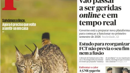 Novas medidas e tragédias marcam o dia: Vagas em creches online e desastres no IP2