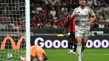 "Zeljko Sopic Surpreendido com a Ascensão de Franjo Ivanovic no Benfica"
