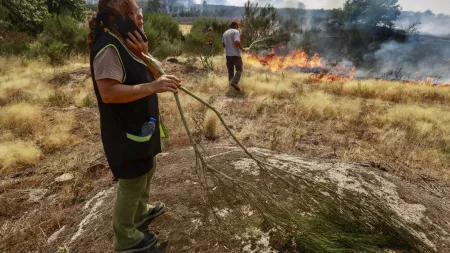 Incêndio em Trancoso coloca em risco várias localidades
