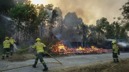 Autarca de Vila Real clama por mais recursos no combate a incêndios devastadores