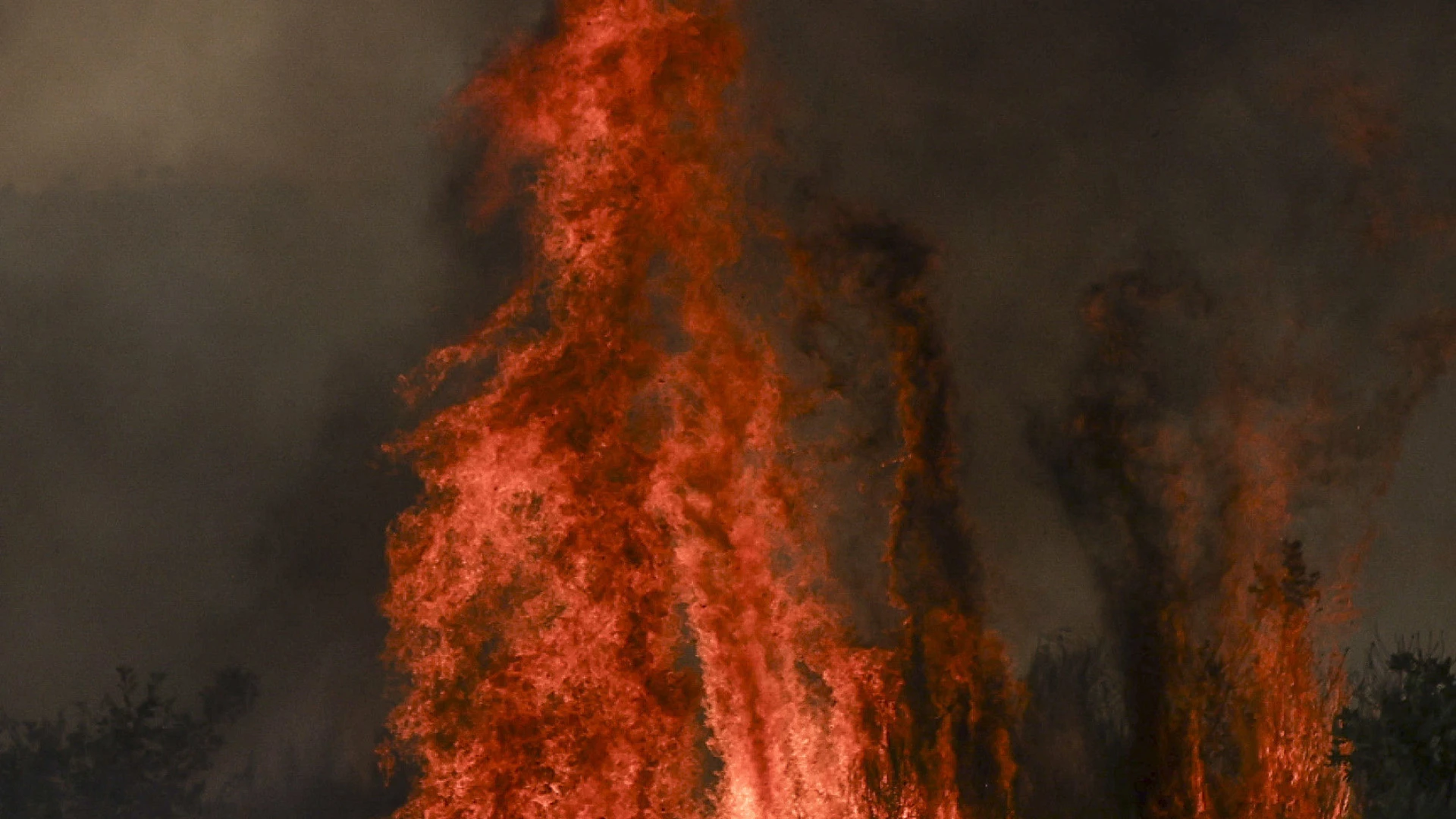 Incêndio devastador em Trancoso provoca perdas massivas na agricultura