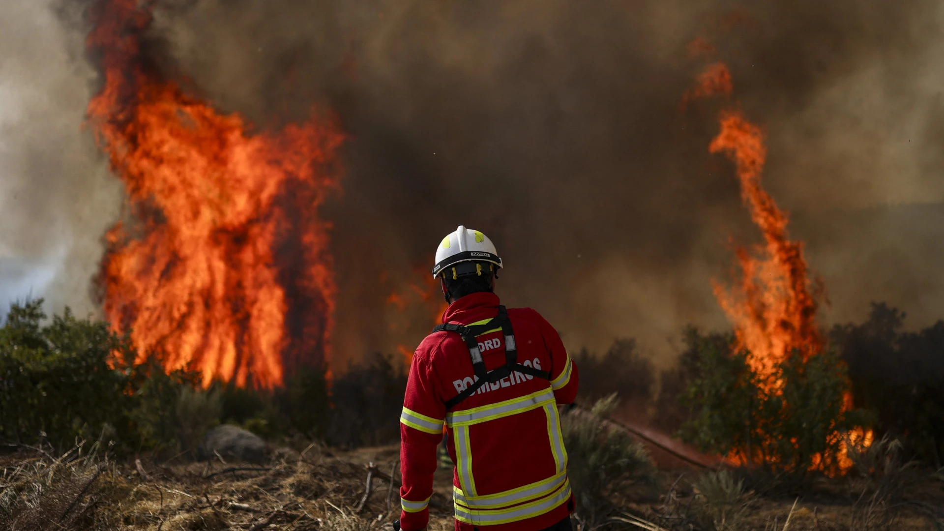 Combate a incêndio em Tabuaço enfrenta desafios em terreno acidentado