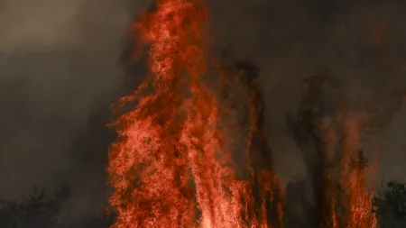 Incêndio devastador em Trancoso provoca perdas massivas na agricultura