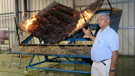 Este Ano Poderá Ser o Mais Crítico para os Incêndios Florestais