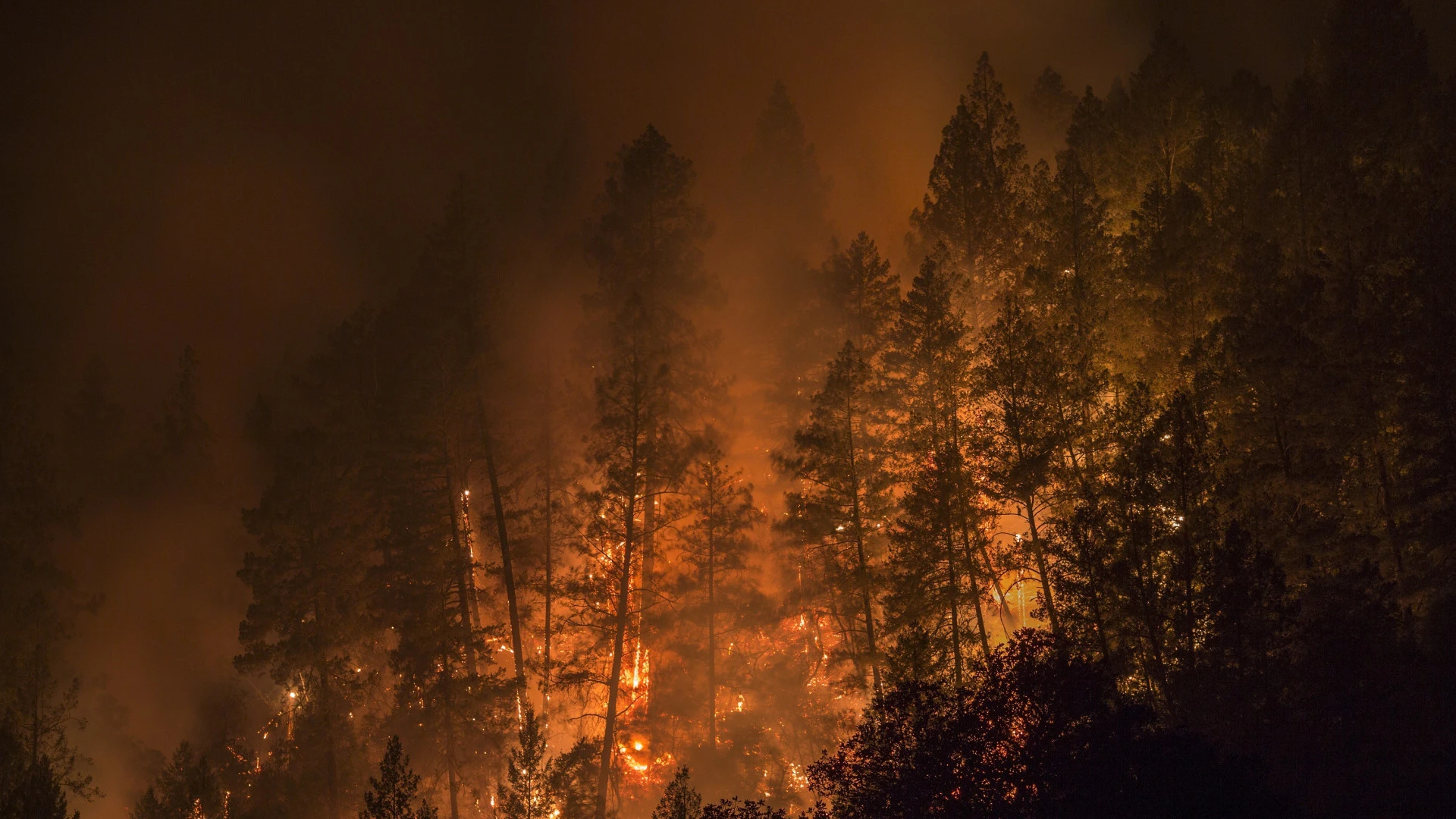 Incêndio na Serra do Alvão mantém frente activa de dois quilómetros