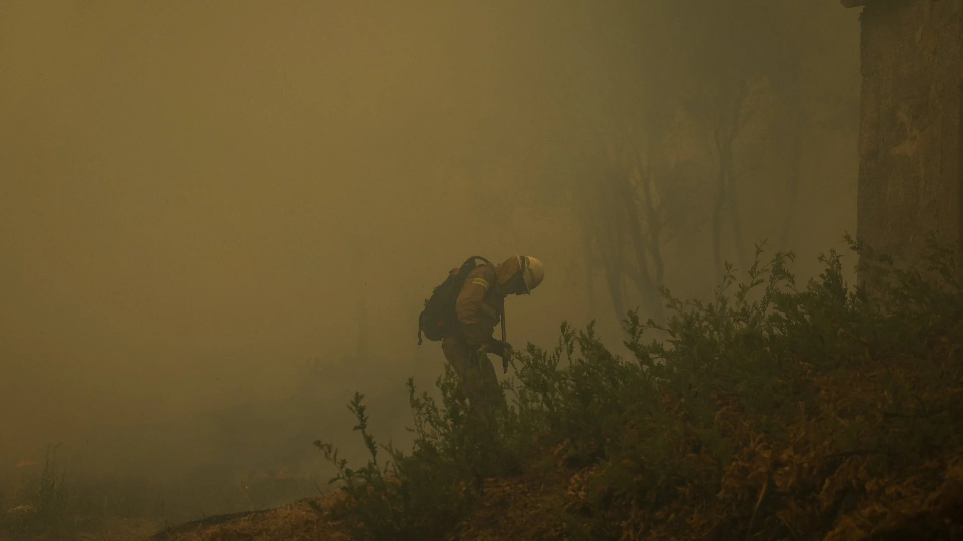 Incêndio em Tabuaço intensifica-se com nova frente e condições adversas