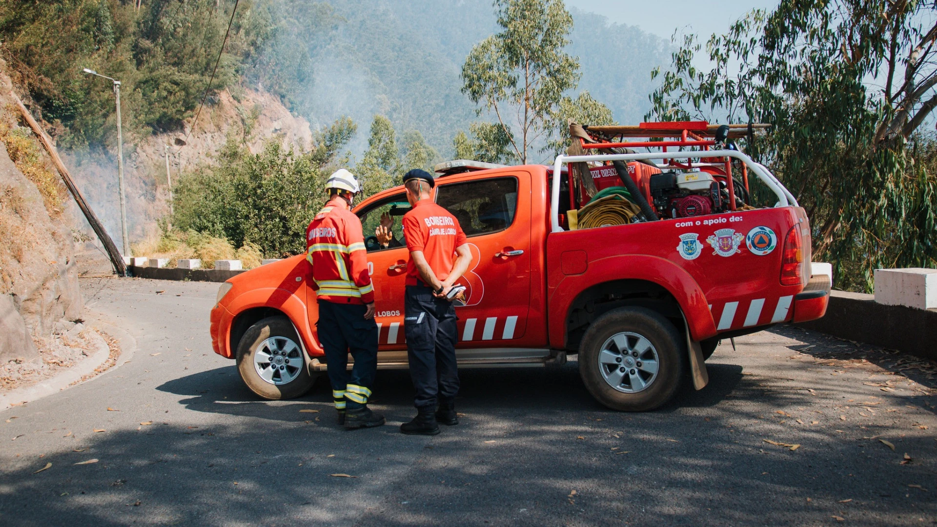 Madeira planeia usar drones para replantar áreas devastadas por incêndios