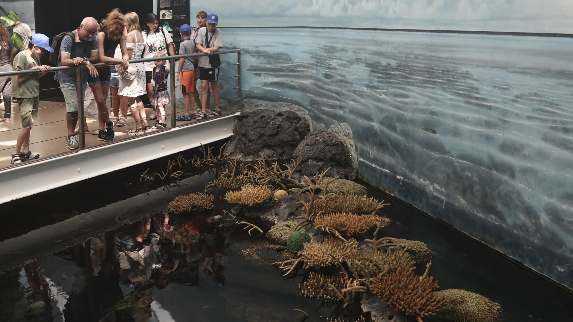 Ucranianos encontram paz e diversão no Oceanário de Lisboa