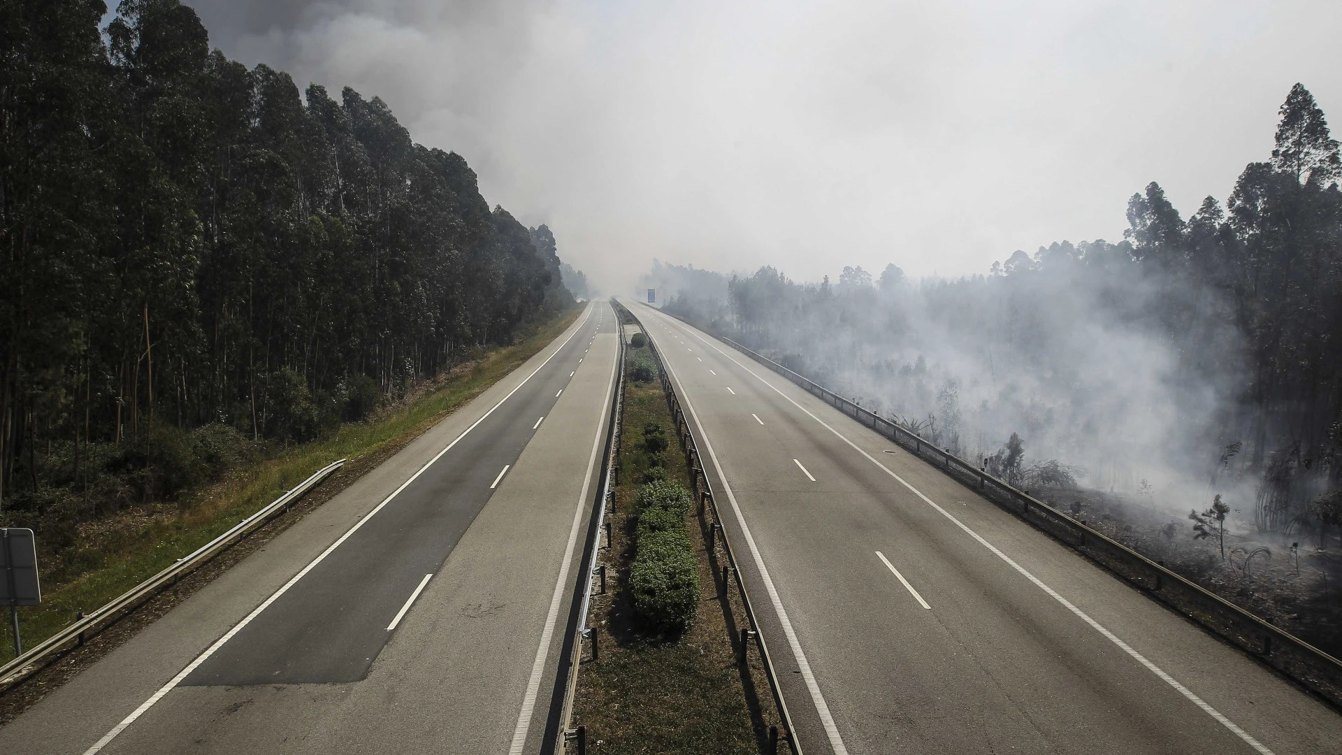 Incêndios afetam circulação em estradas de Viseu e Guarda