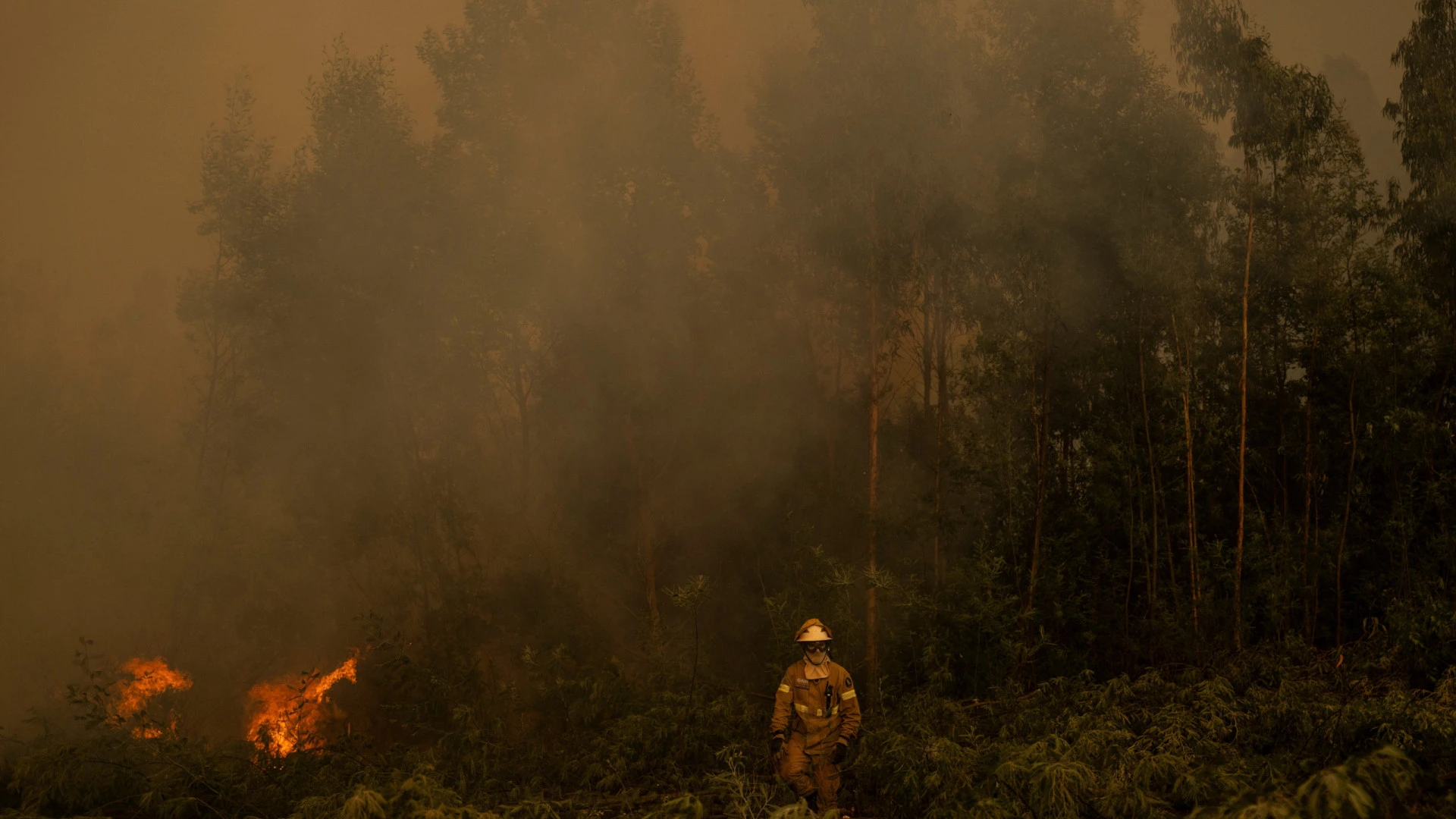 Incêndio na Serra do Açor alarga-se a Oliveira do Hospital e Seia