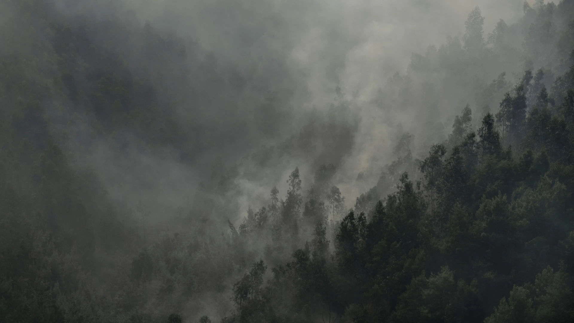 Trancoso respira fundo após incêndio devastador