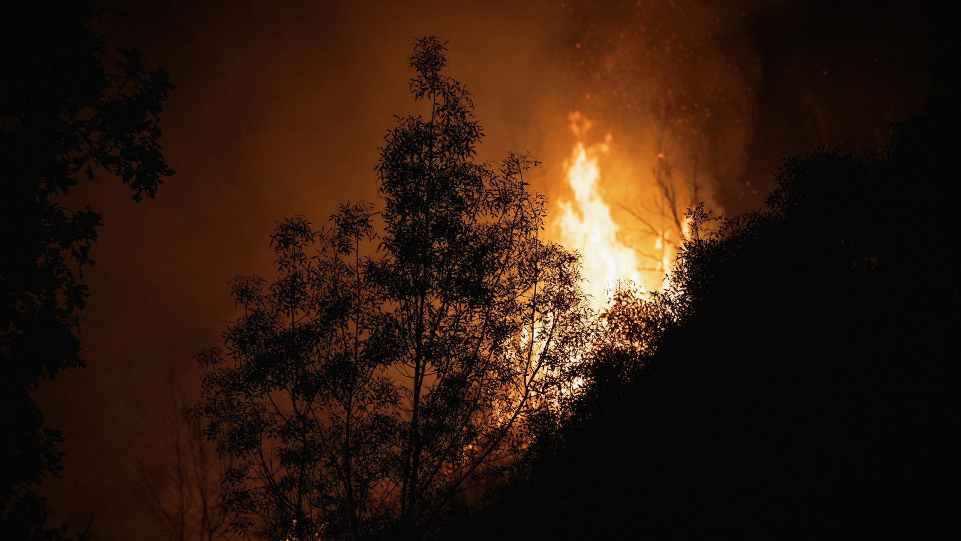 Família bravura na Serra do Açor: Resiste ao incêndio com baldes de água