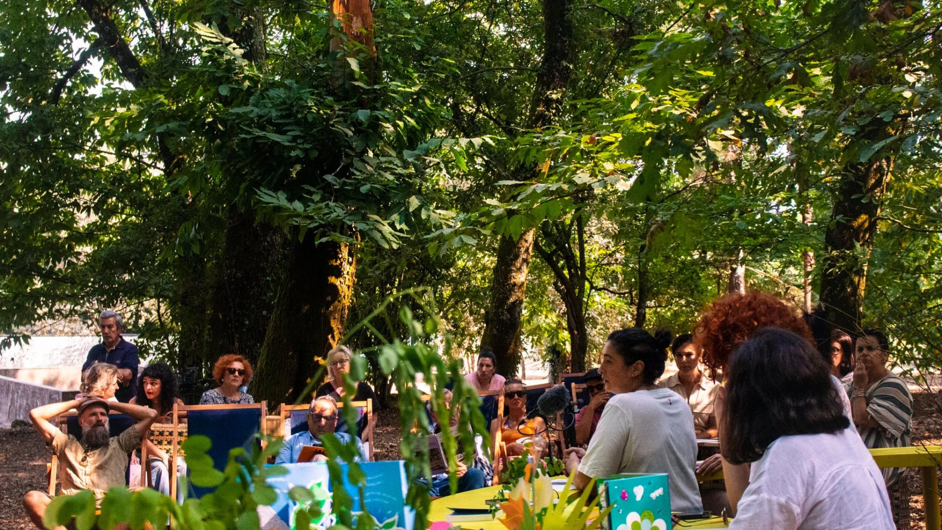Jardim das Artes e Letras: Uma Celebração Cultural em Viseu