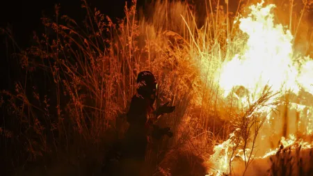 Combate a Seis Fogos em Curso com Mais de 1.500 Operacionais em Ação