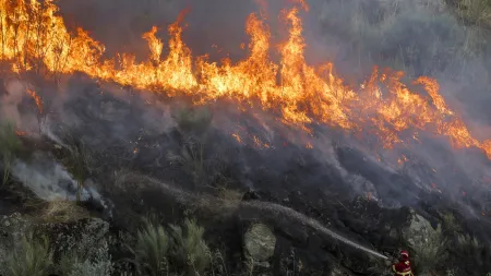 Situação de incêndio em Ermidas-Sado controlada