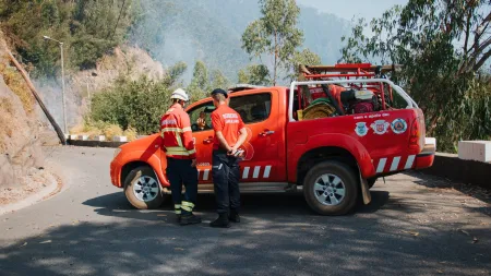 Madeira planeia usar drones para replantar áreas devastadas por incêndios