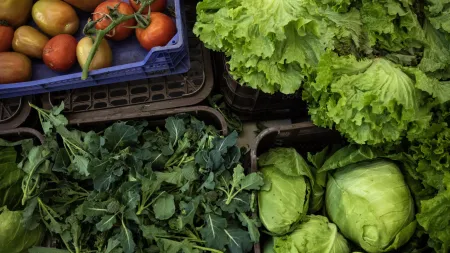 Aumento nas Exportações de Frutas, Legumes e Flores: Qual o Destino?