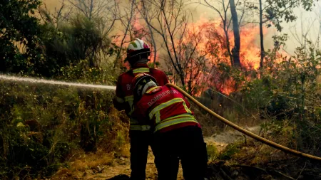 Quase 1.900 efectivos mobilizados para combater incêndios em várias regiões do país
